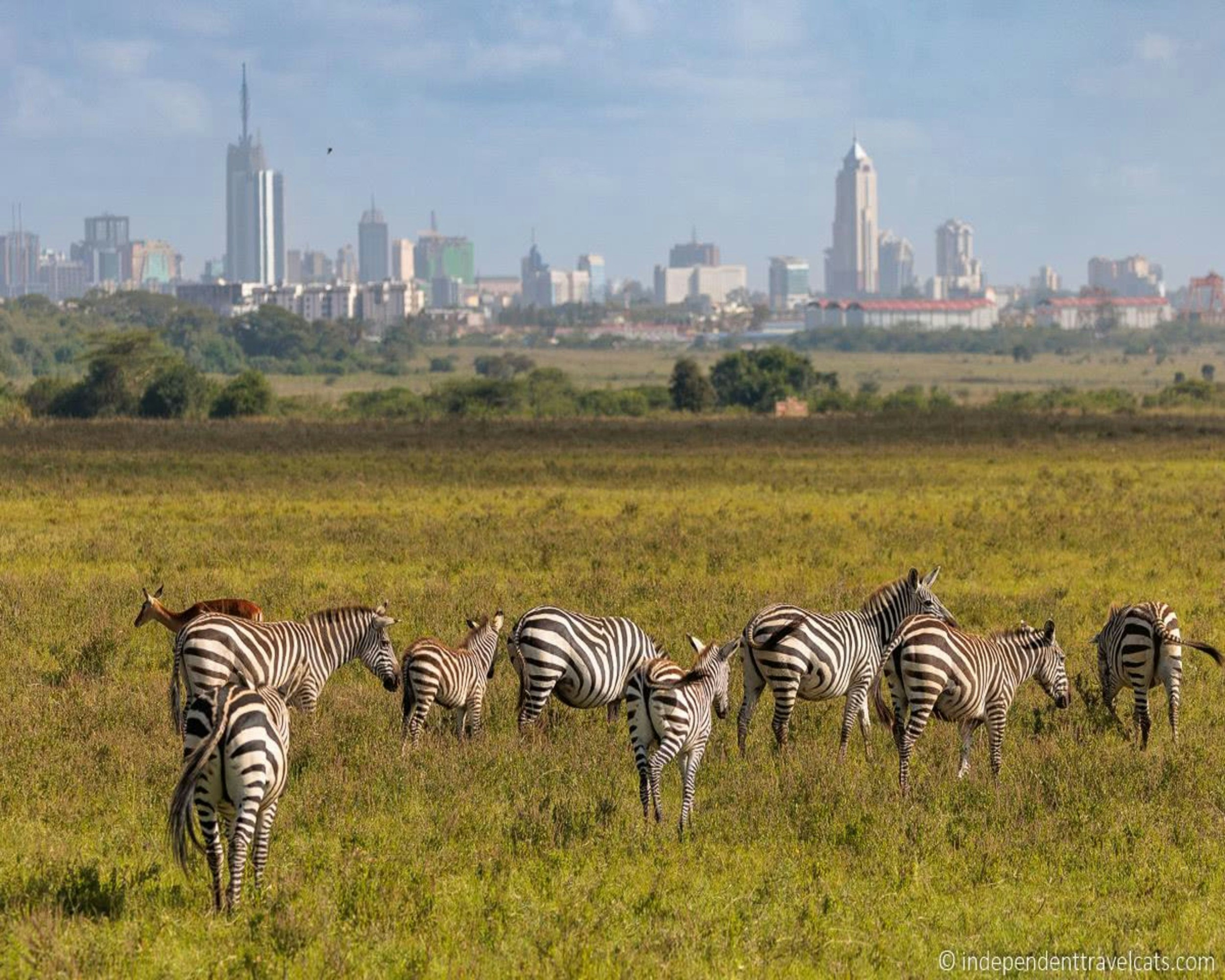 Nairobi National Park