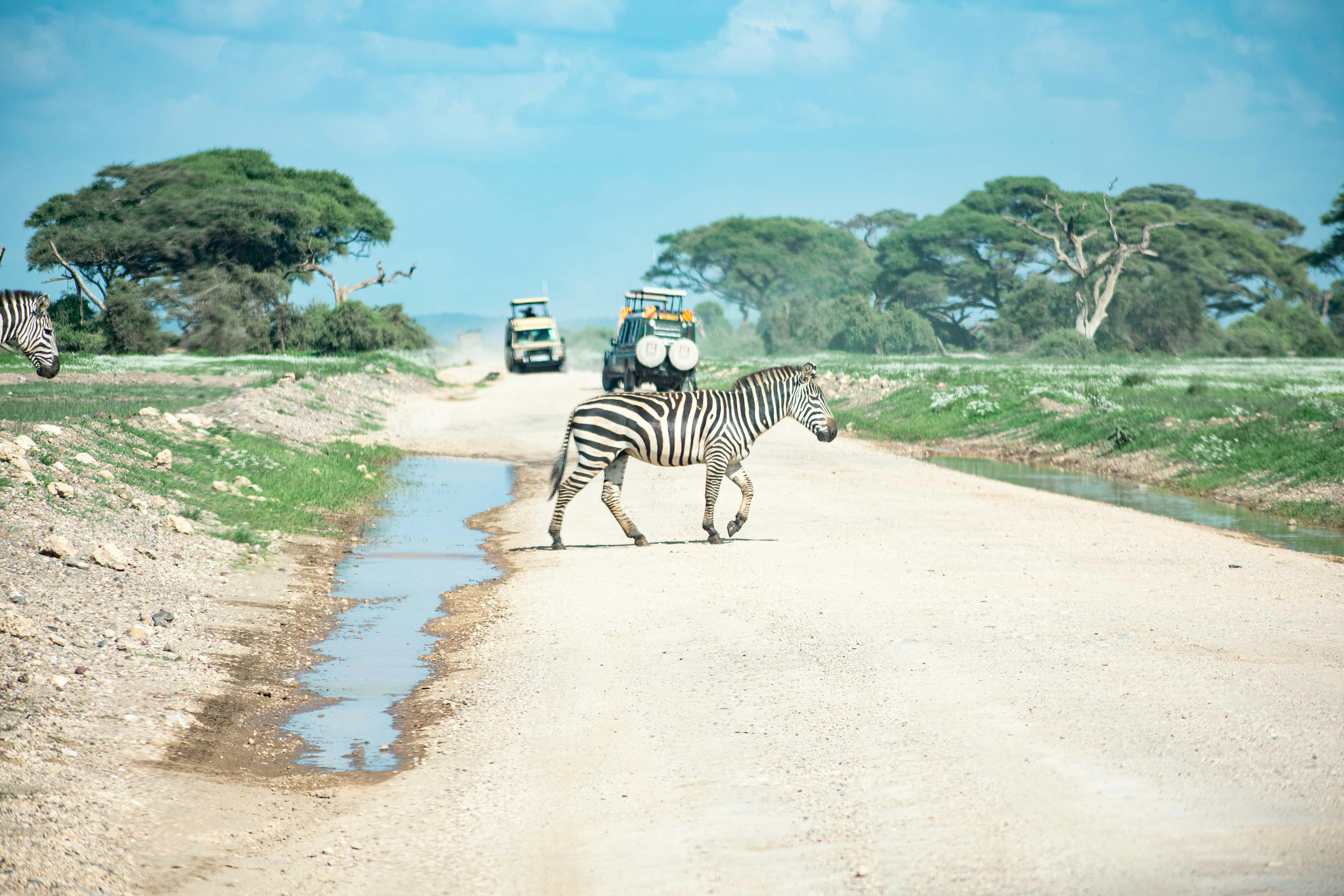 Amboseli Mara Nakuru