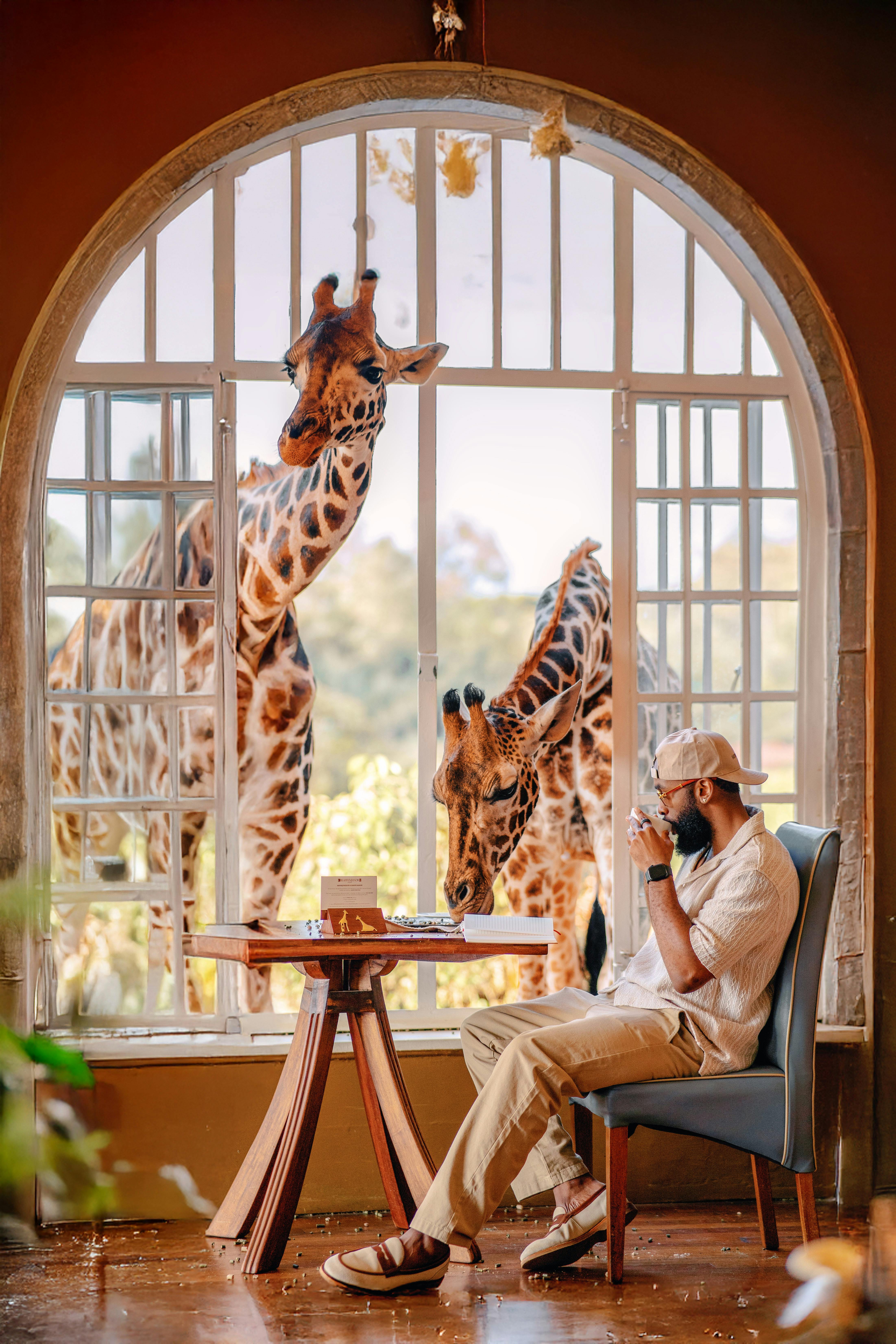 Giraffe Dining
